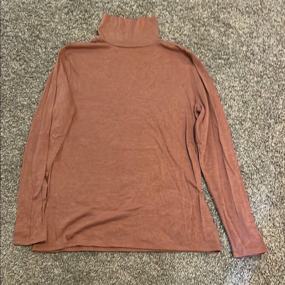 Rust Turtleneck Long Sleeve Top